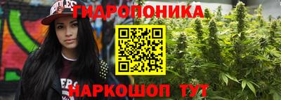 СК Краснокаменск