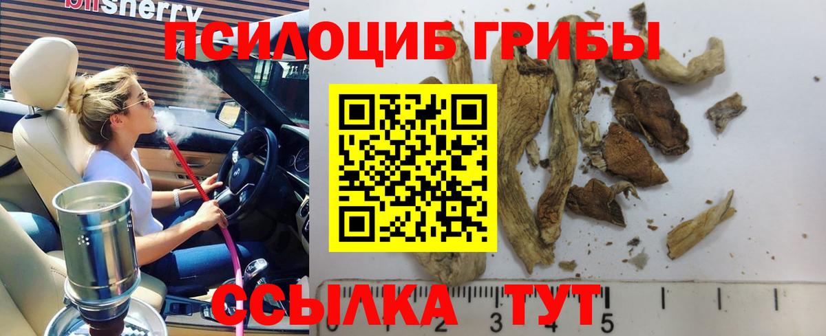 Псилоцибиновые грибы ЛСД Дзержинск